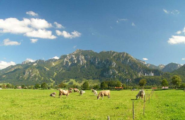 Jaegerhof Und Jaegerstadel Schwangau Ngoại thất bức ảnh